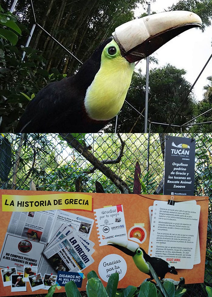 Zoo Ave, Costa Ricaa